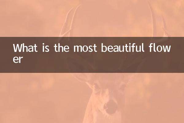 What is the most beautiful flower