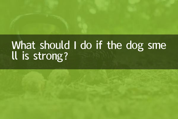 What should I do if the dog smell is strong?
