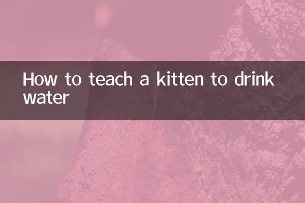 새끼 고양이에게 물 마시는 법을 가르치는 방법