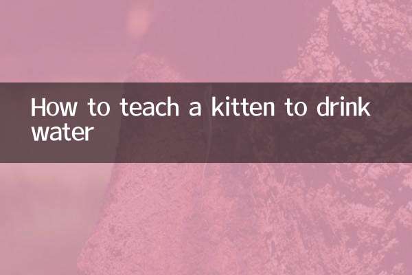 बिल्ली के बच्चे को पानी पीना कैसे सिखाएं?