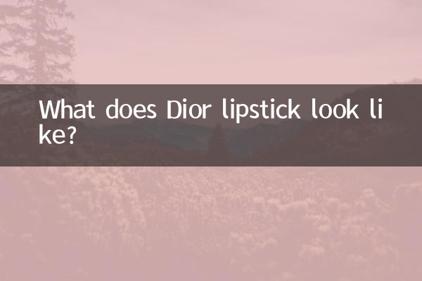 迪奥口红什么样的
