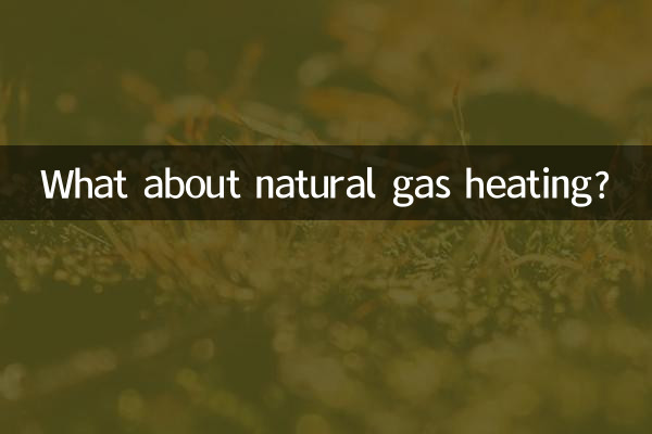 قدرتی گیس حرارتی نظام کے بارے میں کیا خیال ہے؟