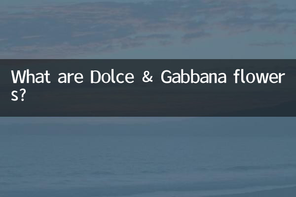 What are Dolce & Gabbana flowers?
