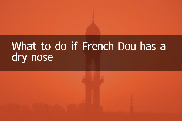 اگر فرنچ دوو دارای بینی خشک است چه باید کرد؟