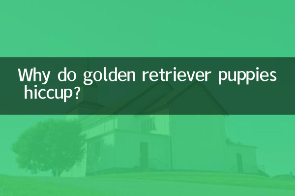 Pourquoi les chiots golden retriever ont-ils le hoquet ?