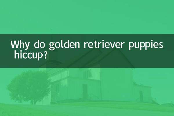 Pourquoi les chiots golden retriever ont-ils le hoquet ?