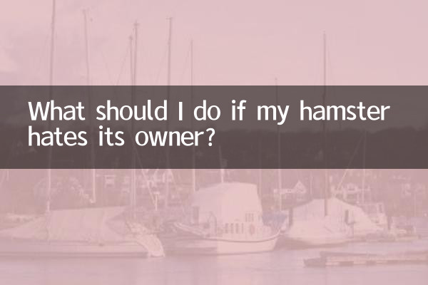 ¿Qué debo hacer si mi hámster odia a su dueño?