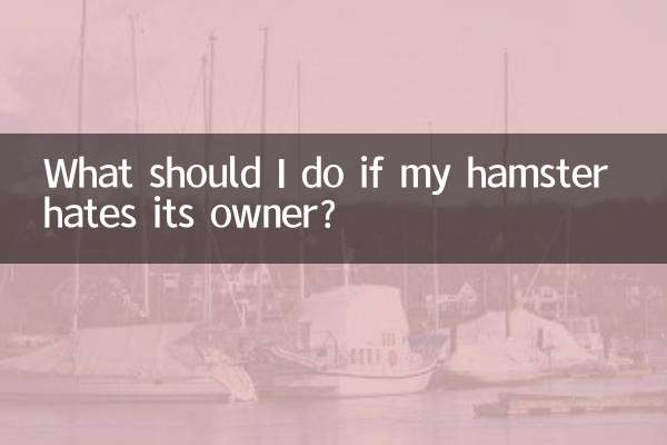 ¿Qué debo hacer si mi hámster odia a su dueño?