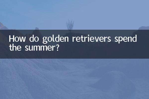 골든 리트리버는 여름을 어떻게 보내나요?