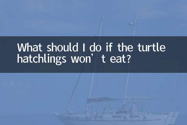 ماذا علي أن أفعل إذا لم تأكل صغار السلحفاة؟