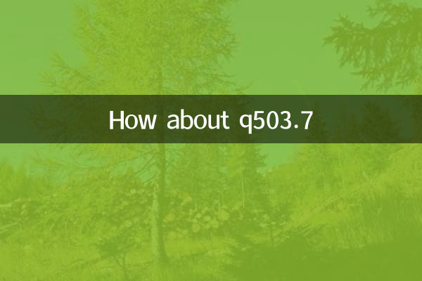 Q503.7 के बारे में क्या ख्याल है?