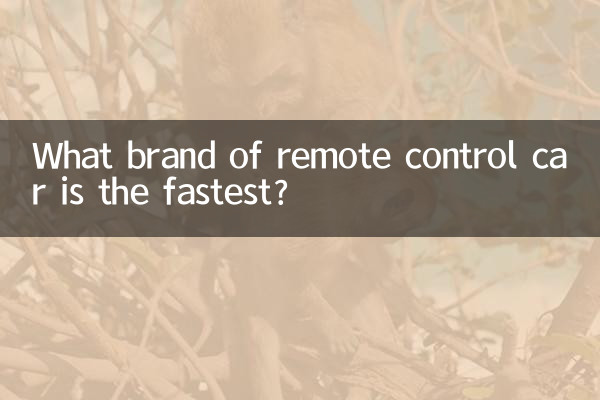 最も速いラジコンカーのブランドは何ですか?