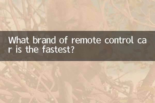 What brand of remote control car is the fastest?