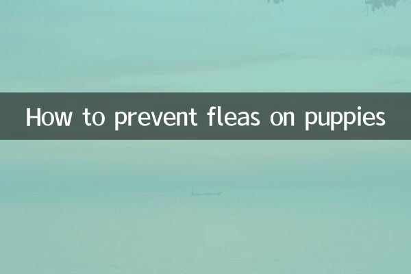 Como prevenir pulgas em cachorros