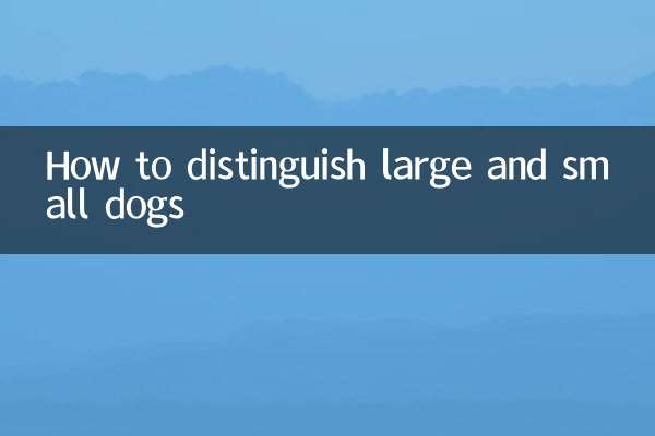 Como distinguir cães grandes e pequenos