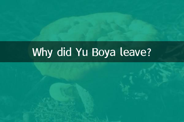 তুমি কেন চলে গেল?