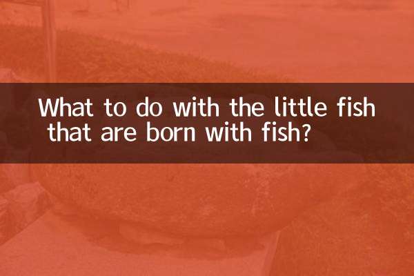 ¿Qué hacer con los pececitos que nacen con peces?
