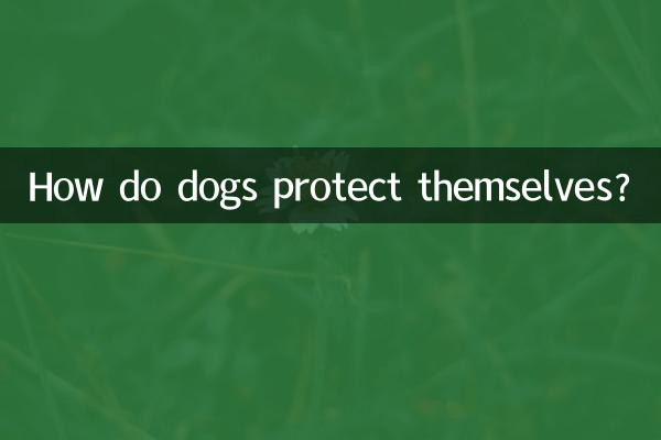 ¿Cómo se protegen los perros?