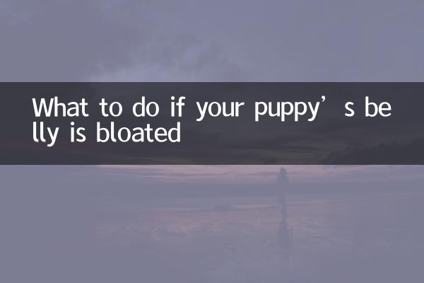강아지의 배가 부풀어 오른다면 어떻게 해야 할까요?