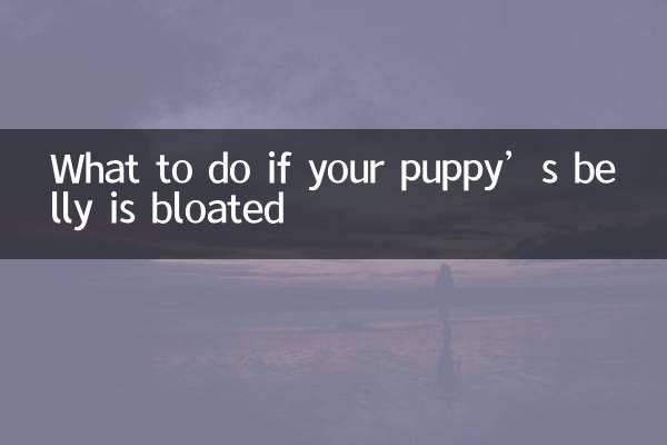 강아지의 배가 부풀어 오른다면 어떻게 해야 할까요?