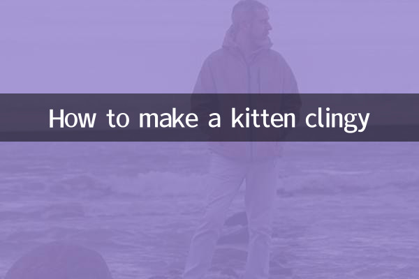 Como deixar um gatinho pegajoso