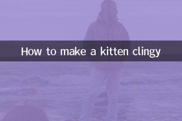 Como deixar um gatinho pegajoso