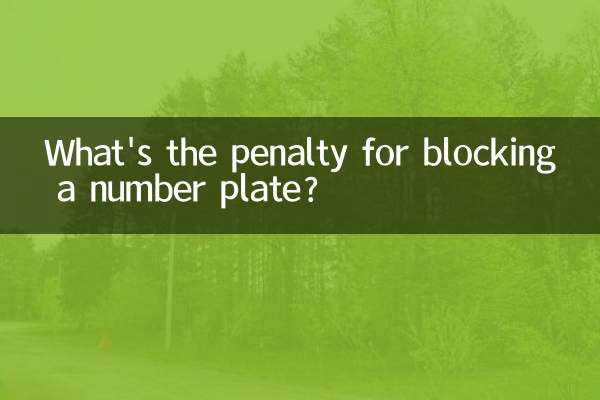 挡号牌怎么处罚