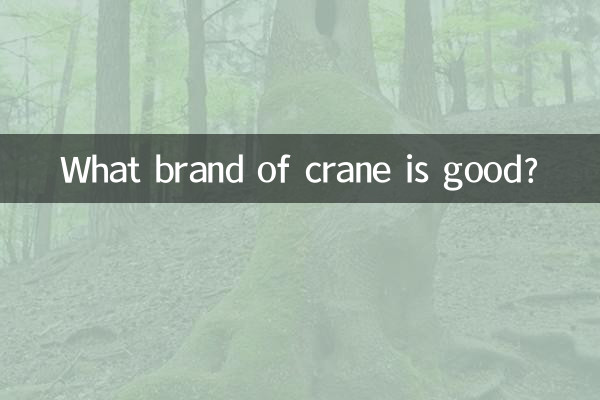 ¿Qué marca de grúa es buena?