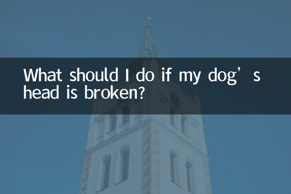 O que devo fazer se a cabeça do meu cachorro estiver quebrada?