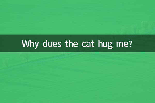 لماذا تعانقني القطة؟