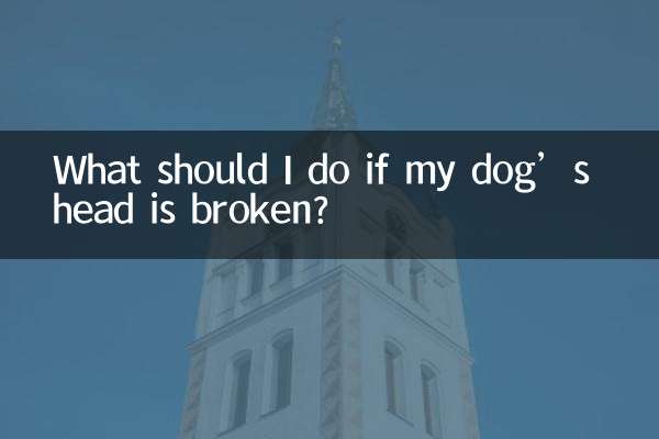 O que devo fazer se a cabeça do meu cachorro estiver quebrada?