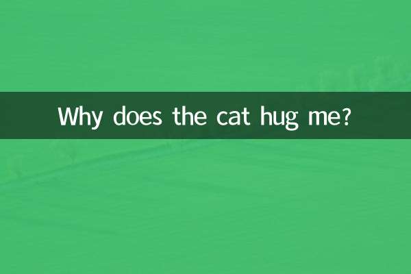 لماذا تعانقني القطة؟