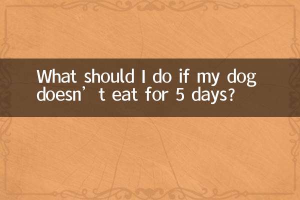 اگر سگم به مدت 5 روز غذا نخورد چه کار کنم؟