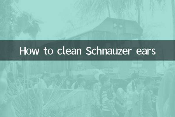 Como limpar as orelhas do Schnauzer