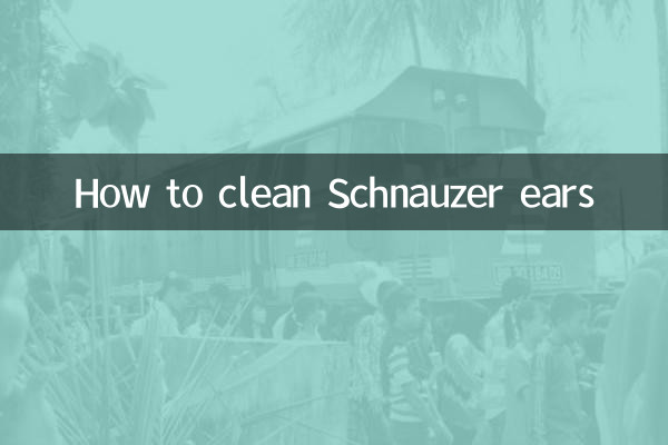 Como limpar as orelhas do Schnauzer