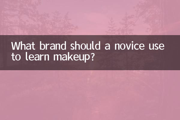 ما هي العلامة التجارية التي يجب على المبتدئة استخدامها لتعلم المكياج؟