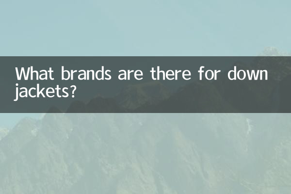 羽絨服都有什麼牌子
