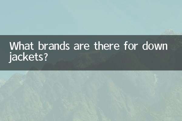 다운 재킷에는 어떤 브랜드가 있나요?