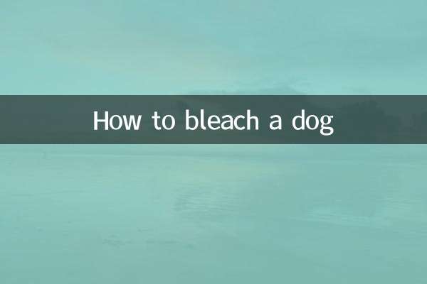 কিভাবে একটি কুকুর ব্লিচ