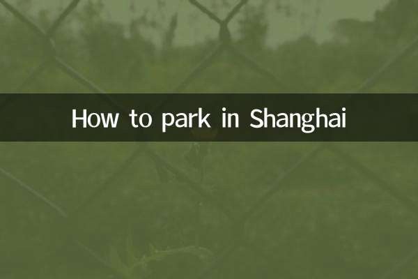 نحوه پارک کردن در شانگهای