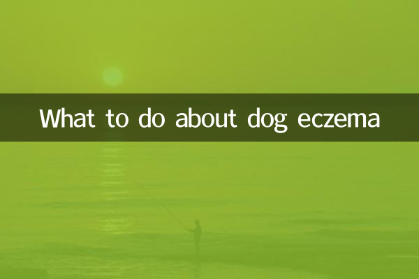 狗狗濕疹怎麼辦