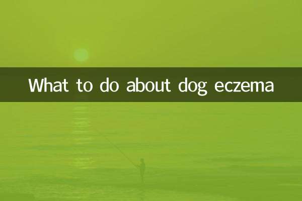 狗狗濕疹怎麼辦