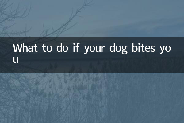 What to do if your dog bites you