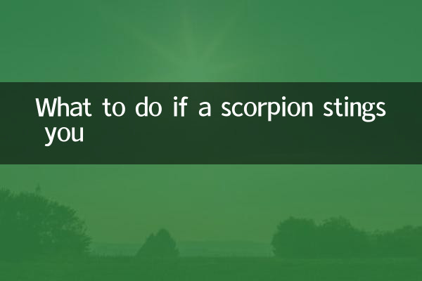 What to do if a scorpion stings you