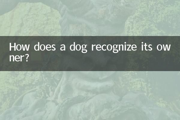 How does a dog recognize its owner?