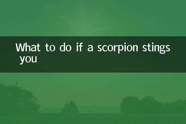 What to do if a scorpion stings you