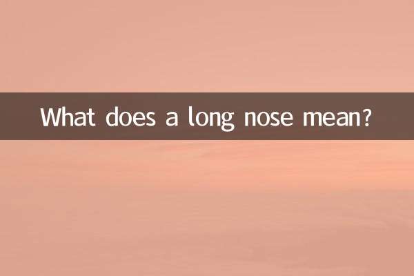What does a long nose mean?