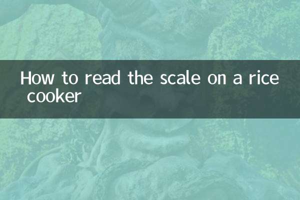 炊飯器の目盛りの見方