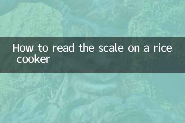 炊飯器の目盛りの見方