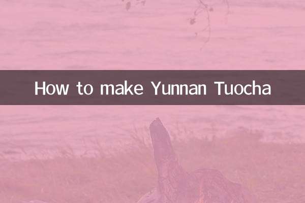 Wie man Yunnan Tuocha macht